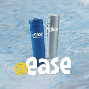 FROG @ease® In-line (chlorine) System