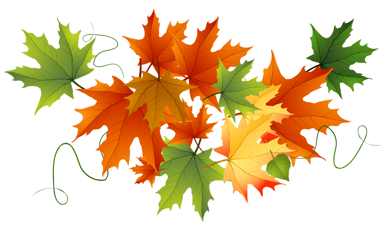 leaves pile