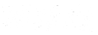 logo toys tots white
